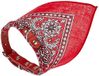 Nobby Halsband met doek, rood L: 35 cm, 1 stuk