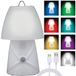 Verk 12295: Veilleuse LED, RVB, avec détecteur de mouvement, 25 cm, blanc