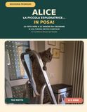 ALICE, la piccola esploratrice… in posa!: 15 foto vere e 15 disegni da colorare di una curiosa British Shorthair