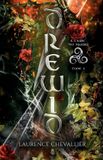Drewid, tome 4: À l'aube des brumes