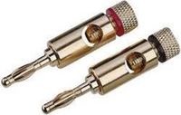 Merkloos High-End Luidsprekerconnector Stekker, recht Aantal polen: 1 Goud 2 stuk(s)