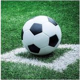 Ambiente Voetbal thema servetten - 40 stuks - 33 x 33 cm - 3-laags papier