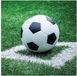 Ambiente Voetbal thema servetten - 40 stuks - 33 x 33 cm - 3-laags papier