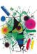 Your Decoration B.V Kunstdruk Joan Miro - The singing Fish 70x100cm