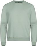 Clique Miami Roundneck 0201030 - Saliegroen - XL