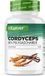 Vit4ever Cordyceps paddenstoel - 300 capsules met 650 mg echt CS-4 extract - 40% bioactieve polysachariden - hoge dosering - rupsschimmel - veganistisch