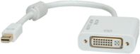 ROLINE Mini DisplayPort naar DVI Adapter Wit 0,1 m