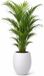 EDA Bloempot / plantenpot Graphit - rond - kunststof - creme wit - D50 x H60 cm