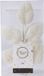 Decoris Kaemingk B.V. Winterdecoratie, deco bladeren, kunsttak wit glitter L36cm 10st