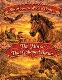 Stories Tredition GmbH Stories from the World of Horses
