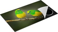 Chefcare Inductie Beschermer Twee Groen Gele Zangvogels op een Tak - 89,6x51,6 cm - Multicolor