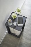 YAMAZAKI home Toiletpaper Holder with Caster - Tower - Black - 4903208052818