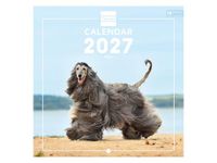 Finocam International Wall Calendar 2027 | Dogs Images | Monthly calendar. Planning, Organisation, Time Management & Productivity