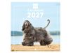 Finocam International Wall Calendar 2027 | Dogs Images | Monthly calendar. Planning, Organisation, Time Management & Productivity