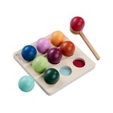 Eichhorn EH Montessori Sortierkugeln