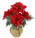 Kunstbloem Poinsettie in jute pot kerstster kerstster kerstversiering kerstbloem bloemenversiering kunstbloem kerstversiering kerstversiering tak X'Mas boeket geschenk decoratie adventsster