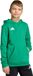 Adidas Performance Entrada26 Hoodie Kids - Kinderen - Groen