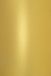 Netuno - Goud Metallic Papier - A5 - 10 Vellen - 250 Gram