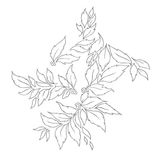 Suburban Momenta Quintae Essentiae - Nhor - LP - Limited Edition