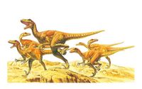 Tamiya 60105-1:35 dinosaurussen, pak van 6