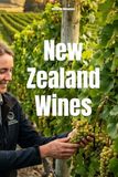New Zealand Wines