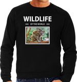 Bellatio Decorations Shoppartners Bv Dieren foto sweater Koala - zwart - heren - wildlife of the world - cadeau trui Koala's liefhebber XXL