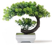 yoerm Kleine nepplanten - plastic kunstmatige bonsaiboom, smaragdgroen decor voor thuis, slaapkamer, wandplank, kantoor, bureau, boerderij, kamerdecoratie, hoog 8,5 inch