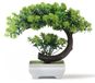 yoerm Kleine nepplanten - plastic kunstmatige bonsaiboom, smaragdgroen decor voor thuis, slaapkamer, wandplank, kantoor, bureau, boerderij, kamerdecoratie, hoog 8,5 inch