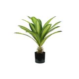 Wintem Dracaena Kunstplant van polyethyleen 60 cm met 19 bladeren en pot met mos, interieurdecoratie