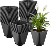 Garronda Set van 50 potten vierkant kunststof met drainagegaten voor tuin (Zwart, 18 x 18 x 20 cm (5L)) GD-KW-SR