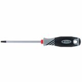 Tournevis Torx compatible outil argent/noir