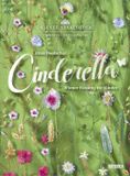 Outhere Stage Orchestra Of The Wiener Staatsoper - Deutscher: Cinderella Für Kinder (DVD)