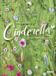 Outhere Stage Orchestra Of The Wiener Staatsoper - Deutscher: Cinderella Für Kinder (DVD)