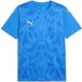 Puma TeamUltimate-shirt 706280