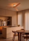 Create WIND CALM CUSTOM RATTAN Plafondventilator