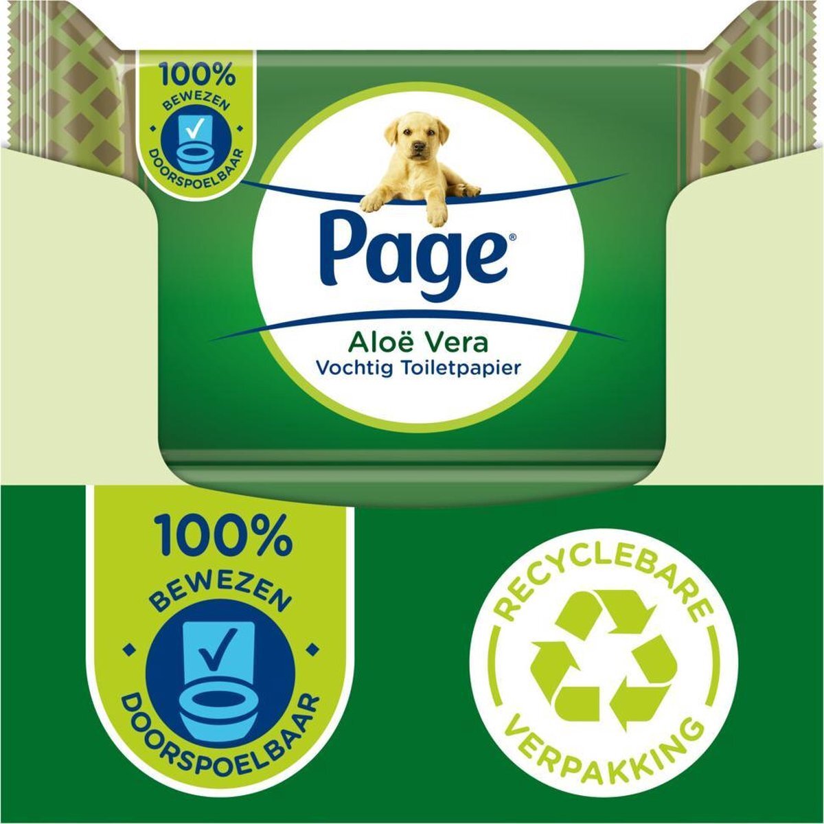 Page vochtig toiletpapier - Aloe Vera - 100% doorspoelbaar vochtig wc papier - voordeelverpakking - 38 x 12 stuks - 456 velletjes