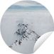 Poster de jardin Alpes - Neige - Montagne - 150x150 cm - Rond - PVC - Extérieur