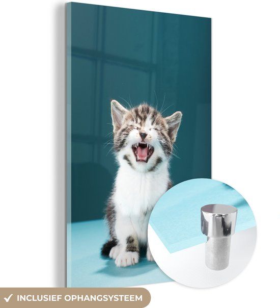 MuchoWow® Glass Painting 100x150 cm - Acrylic Glass Painting - Cat - Kitten - Meow - Photo on Glass - Paintings