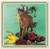 Bertus Distributie Unrock Sir Richard Bishop & Ed Yazijian - Folk LP