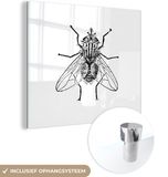 MuchoWow® Glass Painting 20x20 cm - Acrylic Glass - Fly - Animals - Vintage - Black and White - Photo on Glass - Paintings