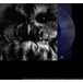 Callisto Noir - 18 september 2026