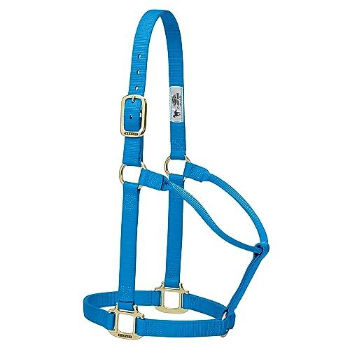 Weaver Leather Originele niet-verstelbare nylon paardenhalter - Jaarling - Orkaan blauw