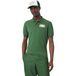 LACOSTE Polo Pionier, vert foncé