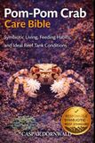 POM-POM CRAB CARE BIBLE: Symbiotic Living, Feeding Habits, and Ideal Reef Tank Conditions