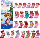 oCreon Get trend Paw Patrol Skye adventskalender 2026 met 24 sokken