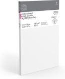 Winsor & Newton Professional Canvas Smooth 35x50cm