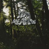 Heavy Psych Dead Meadow Old Growth LP