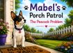Mabel's Porch Patrol: The Peacock Problem