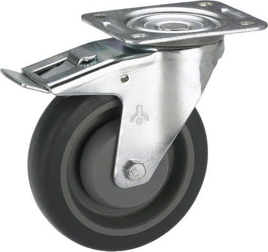 Dörner + Helmer 716565F Zwenkwiel Wieldiameter: 100 mm Draagvermogen (max.): 150 kg 1 stuk(s)