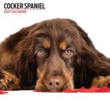 Cocker Spaniel 2027 Moderne Kalender